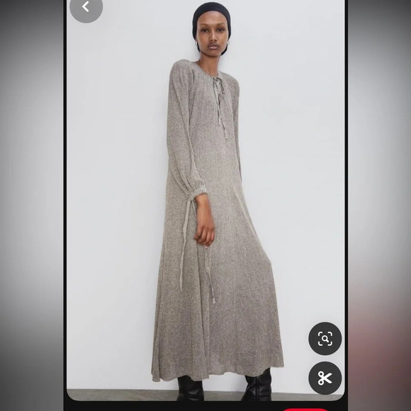 ZARA Dress with Metallic Thread silver long sleeve with slip size med NWT - Picture 15 of 15